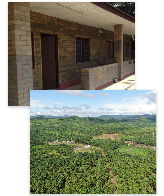 Palm Oil Plantation Sabah | Solar Power System Sabah | Interlocking Brick Sabah | Swiftlet Farming Sabah | Smart Home Installation Sabah
